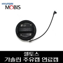 셀토스 가솔린 주유캡 연료캡 31010M6000