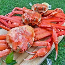 울진 후포리 홍게 3kg 자숙 홍게찜 라면 육수용 B급 파품