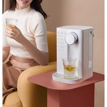 미니온수기 전참시 순간온수기 미니 직수온수기, 화이트 독립형