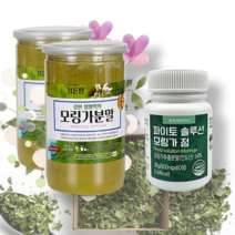 모랑가 추출 가루 모닝가 모링가 정 분말 추출물 올레이페라 인도산 모린가 차 씨앗 씨 잎 파우더 선식 생식 식대용 티백 이중 밀폐통제품 인도네시아 250g 60정 1통 2개월분, 파이토솔루션 모링가정 1통