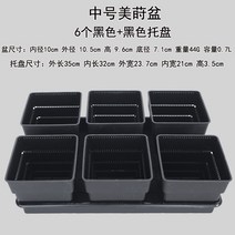마카롱 안스리움 와로쿠아넘 몬스테라알보 다육이 저면관수 화분 바닥 트레이 화분 24, 미디엄 6 블랙 포트 블랙 트레이
