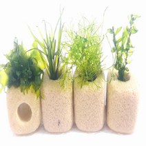 링포트수초모스4종 초보음성수초키우기, 물미역모스 포트