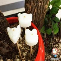 사이언스존 과학키트 고체디퓨져 5인용 화학실험세트