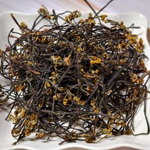 23년 지리산 국산 고사리 건고사리 말린 고사리 건나물 햇고사리 햇나물 봄나물, 건고사리 300g, 1개