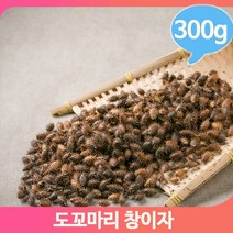 국화과 약초 창이자 300g 도꼬마리 열매 건강 한방, 1개