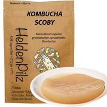 독일직구 그로스 스타커 콤부차 티필즈 (1-6리터) + 접근 액체 SCOBY/Skoby (공생증) 예: 음료 중지 (준 샴페인 버섯), 수량, 상세참조