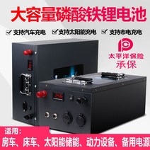 인산철캠핑용파워뱅크배터리 Zhen 12V24V48V 전체 용량 리튬 철 인산염 배터리 400A200AH 침대 자동차 RV 보조 소스, [01] 12V100AH ​​인산철리튬(1.2kWh)