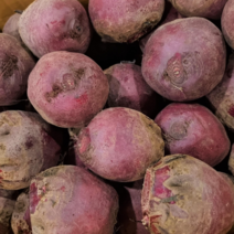 제주 고당도 레드비트 비트 최상품, 레드비트 3kg