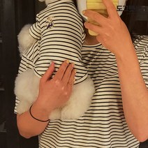 강아지티셔츠 강아지의류 커플룩, 옐로우