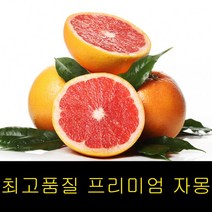 고씨네 자몽에이드 자몽차 특급 레드자몽 레드자몽3kg 홍자몽 자몽청만들기 자몽효능 자몽 자몽청 청자몽, 3kg