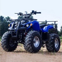 산악 오토바이 ATV 4륜 농업용 사발이 레저용 소형 바이크 전동 자전거, D