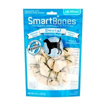 스마트본 16p - 덴탈, 1개