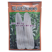 박사 찰옥수수 씨앗 80립 미백2호 박사찰 강원도 옥수수 종자 [23년포장], 박사찰옥수수, 1개