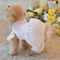 강아지 해충방지옷 버그가드 도트쉬폰 나시 몸빼 여름 올인원, 화이트