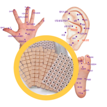 귀지압패치 [5 5/ 10 10 무배] 귀침 붓기침 채령귀침 지압스티커 다이어트패치 다이어트귀침 혈자리패치 혈자리테이프 이혈기석 지압테이프, 5 5/ 10장 (600개)