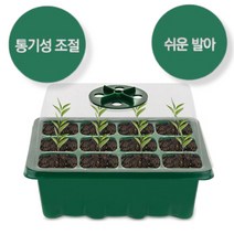 아띠 모종 트레이 미니온실 12구 씨앗발아, 그린