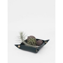 PLATS [플랫츠] 팟트레이 + 틸란드시아 푼키아나, Black