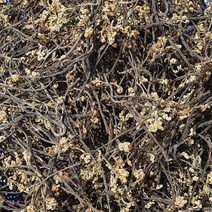 제주직송 자연산 햇 건조고사리 제주 먹고사리 600g, 1개