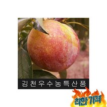 김천자두 후무사자두- 5kg ( 왕왕특 1~ ) 산지직송{김천자두}, 김천자두 후무사/대왕자두- 5kg ( 왕왕특 / 160