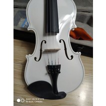 블랙바이올린 구매가이드 후기