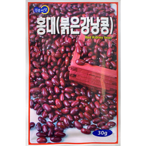 홍대붉은강낭콩씨앗30g앉은뱅이 비덩굴