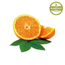 스윗오렌지에센셜오일 / 천연비누 화장품 만들기, 1개, 500ml