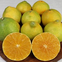 가을과일 제주도 원조 황금향, 1박스, 황금향3kg 특과 6-10과