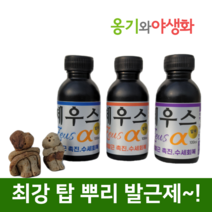 옹기와야생화 제우스알파 100CC 강력한 뿌리 발근제 수세회복 세력증강 액상영양제