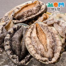 완도맘 생산자직송 활 전복 1kg, 1box, 1kg(15-17미)