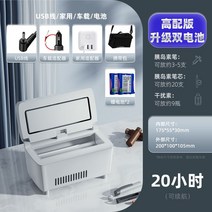 약품냉장고 휴대용 주사 보관 인슐린 시약 자동차 충전 가정용 의약품 여행 캠핑용, (듀얼 배터리) 20시간 지속 모델