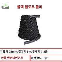 배틀로프 밧줄 헬스 크로스핏 근육 상체 운동용 홈트, [헬스]직경25mm-길이9m 글러브 숏커버 증정