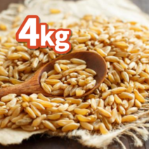 23년 수입 4kg 호라산밀 당뇨에 좋은 고대 곡물 셀레늄 풍부, 1개