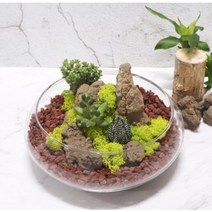 화분월드 화산석 홍색 대 9kg, 4개