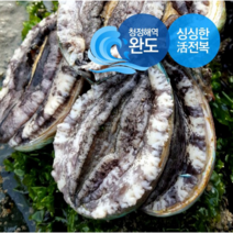 [생일도참전복] 바다내음듬뿍 싱싱 ( 완도 활전복 9-10미1kg 1.5kg 2kg ) 산소포장 당일발송, 1box