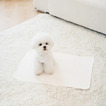 루플리 에코패드 빨아쓰는 배변패드 친환경 강아지 L 3장, 색상:민트