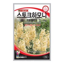 모칸도 세계종묘 꽃씨앗 스토크하모니 크림엘로우 30립