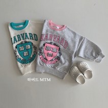일센치 하버드맨투맨