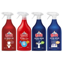 LG생활건강 홈스타 4종류 중 곰팡이 싹 착붙는 락스 스프레이 욕실용 주방용 국산 세정제 900ml, 뿌리는 곰팡이싹(900ml)