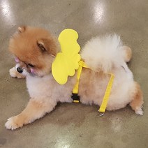예펫 날개 하네스 강아지 고양이 가슴줄, 하네스_스카이_S