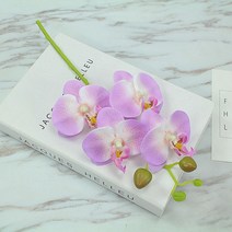 소형 난꽃 모형 식물 인테리어 플랜테리어 데코 꽃꽂이 원예, C_화이트