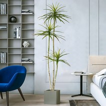 드라세나 마지나타 조화(180cm) 감성 인테리어 식물