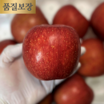 [무료교환환불] 당도자신감 햇부사 신선한 당일 당도선별 사과, 부사 10kg 로얄 대과 (28~30과)