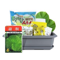 월드가드닝 집에서길러먹는채소-곰취텃밭세트9종, 단품