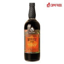(증정범용시럽펌프3.5cc)포모나 믹솔로지 스모키얼그레이 시럽 1000ml, 범용 시럽펌프 3.5ml 1개