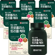 그린 프로폴리스 머빈스 츄어블 브라질 면역력 항산화 항균 구강 60캡슐, 6개