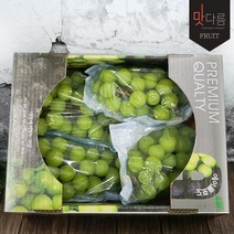[맛다름][국내산] 프리미엄 샤인머스켓 2kg내외 4수_안전포장, 1box, 2KG