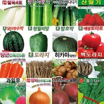 각종 열매 뿌리 채소 씨앗 모음 무 양파 토마토 호박 옥수수 콩 오이 씨 종자 모음, (호박) 단호박