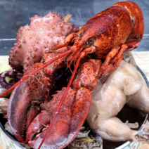 누룽지 해물 해신탕 전복 삼계탕 밀키트 4종 초복 중복 말복 음식 재료 닭 전복 문어 새우 랍스터 약재 해물 해천탕 간편조리 세트, 2. 해물 해신탕 (1-2인분)
