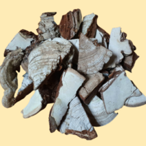 자연산 잔나비걸상버섯 500g 잔나비불로초 잔나비버섯