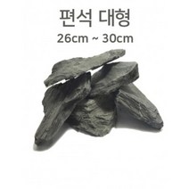 편석 대형 Size 26cm - 30cm급 1개/ 판석 납작돌 테라리움 거북이어항 수초